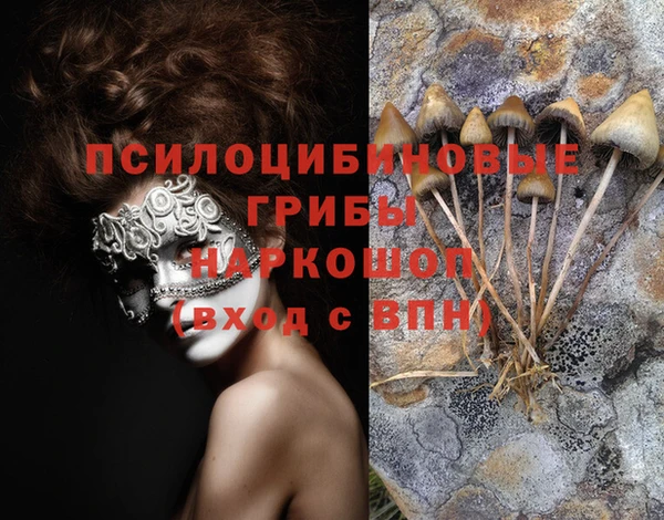 синтетический гашиш Куйбышев