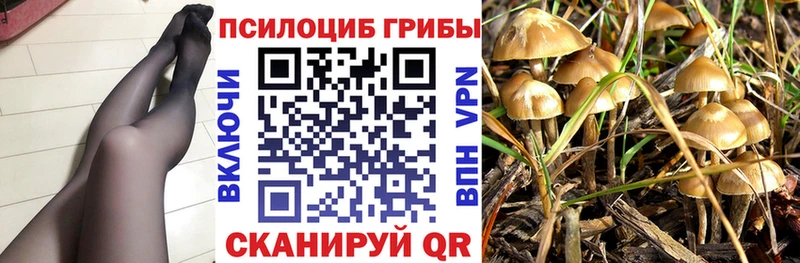 blacksprut как зайти  Мамадыш  Галлюциногенные грибы мухоморы  закладки 